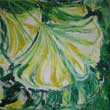 Ginko