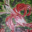 Rote Lilie