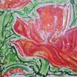 Mohn