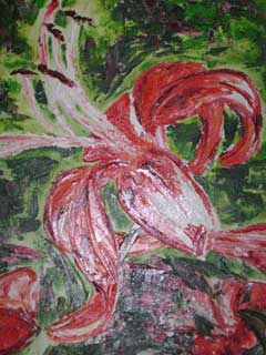 Rote Lilie